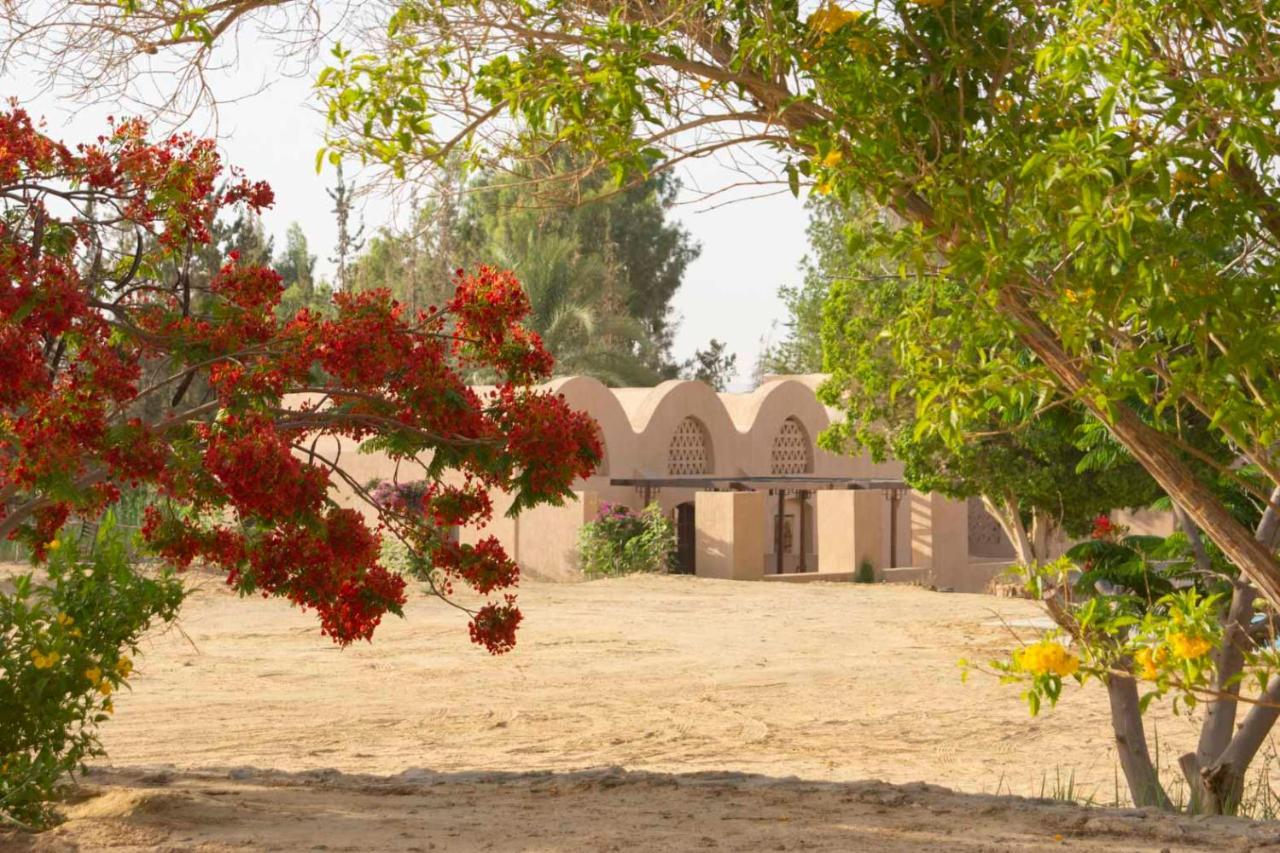 Villa Tzila Bahariya Bahariya Oasis Exterior foto
